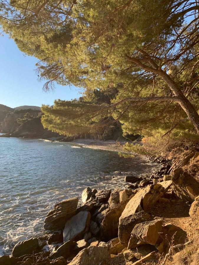 Villa Cavalaire Sur Mer Экстерьер фото